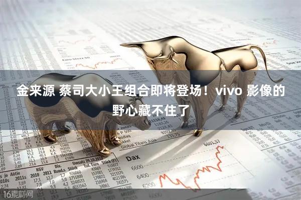 金来源 蔡司大小王组合即将登场！vivo 影像的野心藏不住了