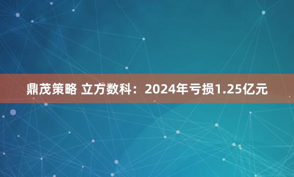 鼎茂策略 立方数科：2024年亏损1.25亿元